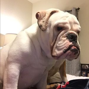 Meet your Posher, Jose